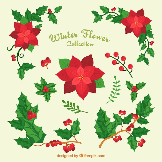 Variedad de flores navideñas y muérdago