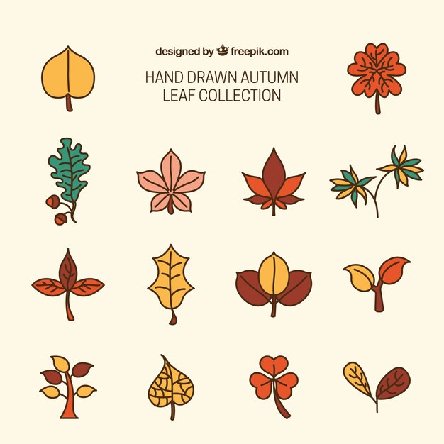 Variedad de hojas de otoño