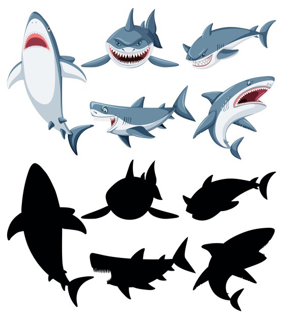 Una variedad de ilustraciones de dibujos animados de tiburones