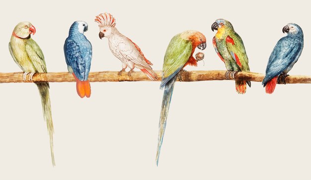 Variedad de loros en estilo vintage.