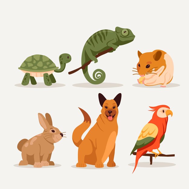 Variedad de mascotas diferentes
