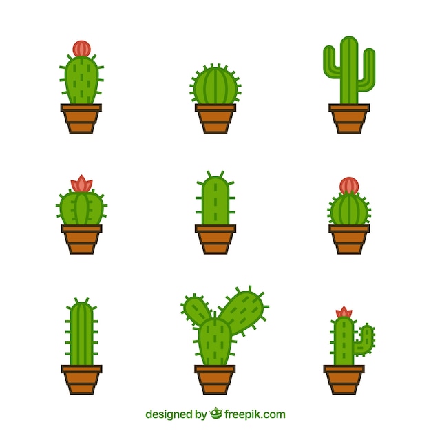 Vector gratuito variedad original de cactus modernos