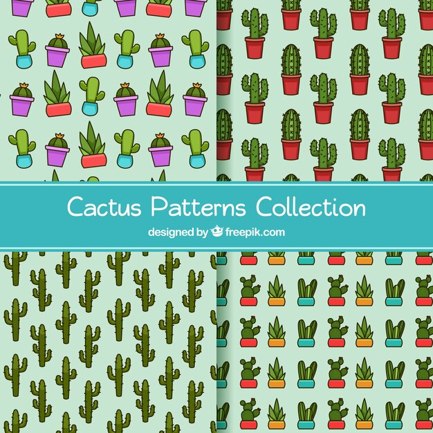 Variedad original de patrones de cactus