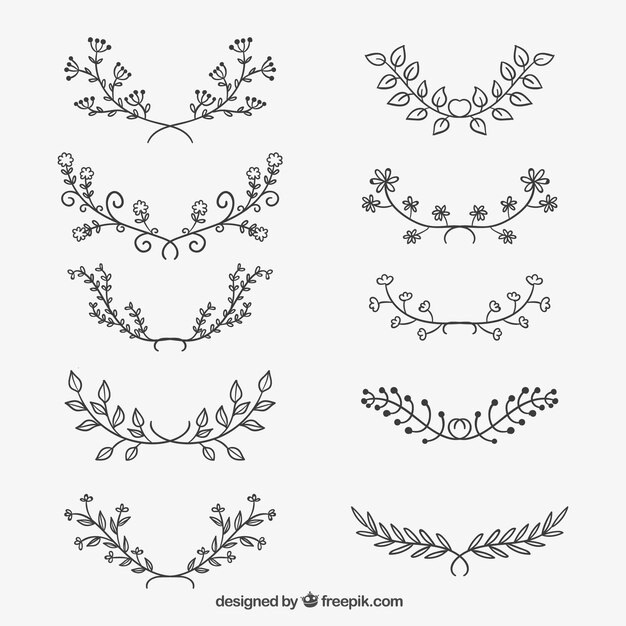 Variedad de ornamentos esbozados