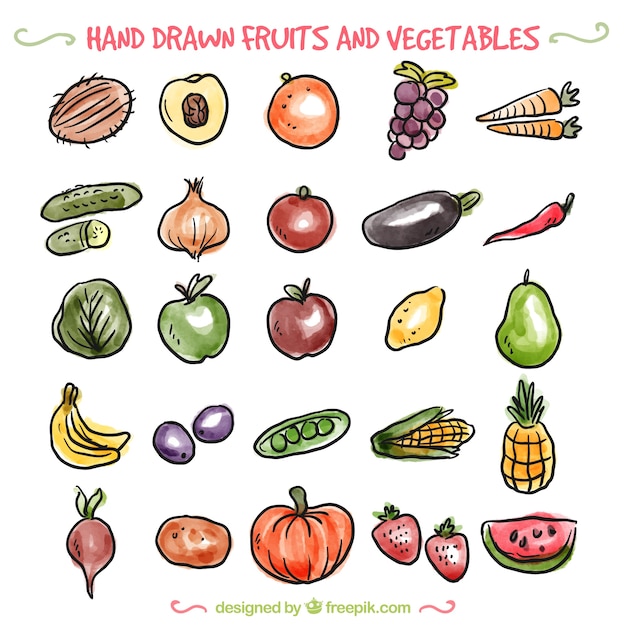 Variedad de verduras dibujadas a mano y frutas