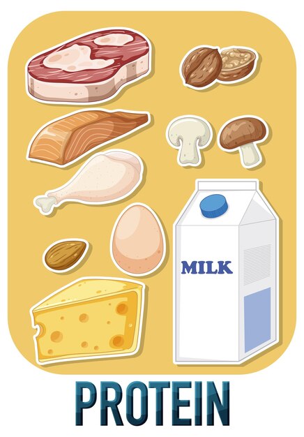 Variedades de alimentos proteicos con texto.