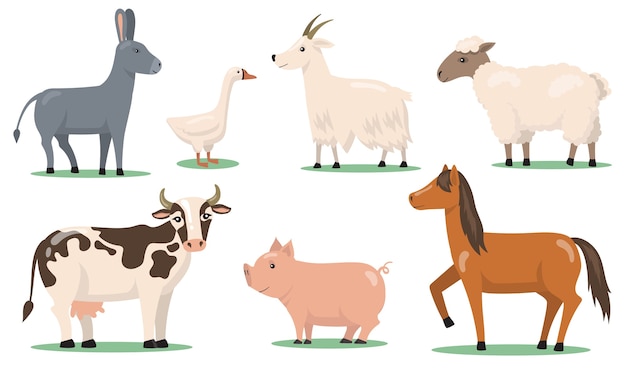 Varios animales y mascotas en la granja conjunto de imágenes prediseñadas planas. Personajes de dibujos animados de caballo, oveja, cerdo, cabra, ganso y burro colección de ilustraciones vectoriales aisladas.