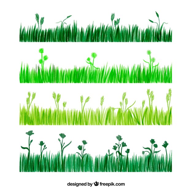 Varios bordes de hierba en tonos verdes