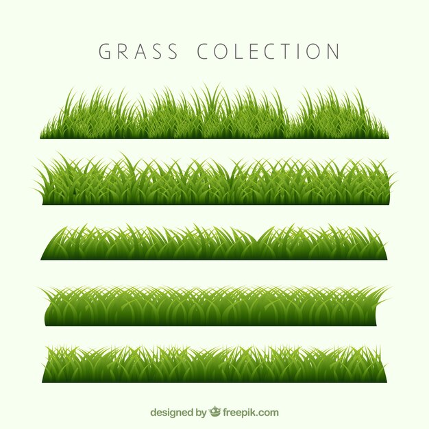 Varios bordes de hierba verde en diseño realista