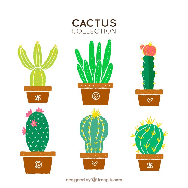 Varios cactus dibujados a mano 