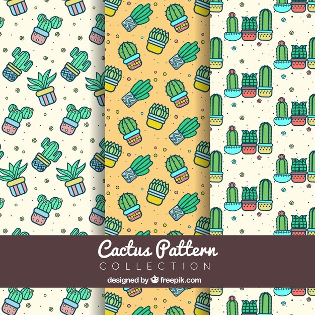 Varios patrones de cactus decorativos