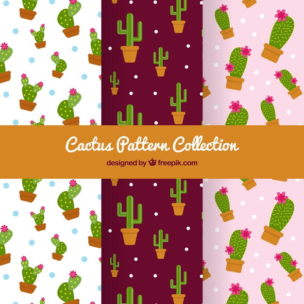 Varios patrones de cactus en diseño plano 