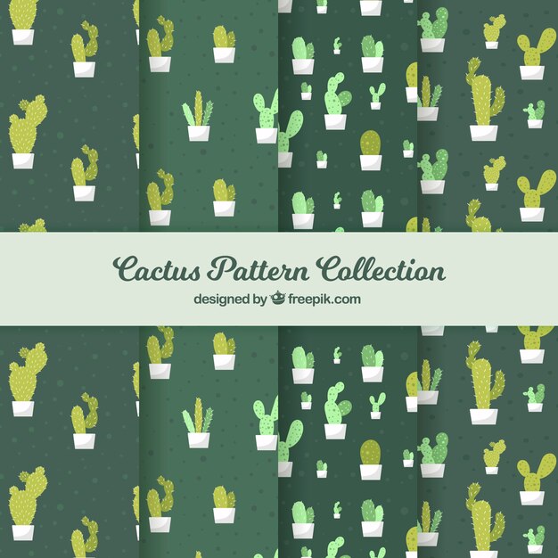 Varios patrones verdes de cactus en diseño plano 