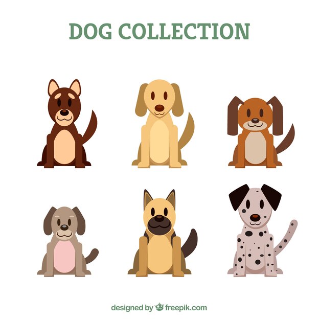 Varios perros en diseño plano