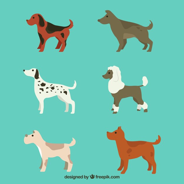 Varios perros de perfil en diseño plano