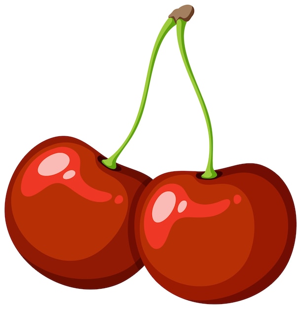 Vector aislado cereza roja vibrante