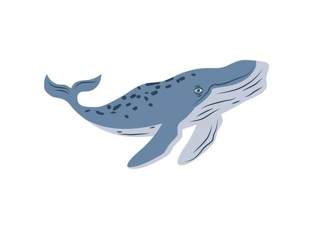 Vector aislado del icono de humpback sealife