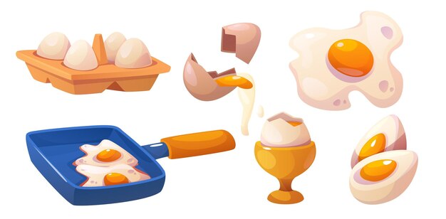 Vector aislado en el paquete de cajas de huevos de pollo