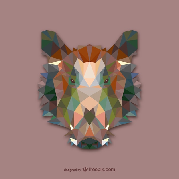 Vector cabeza de jabalí