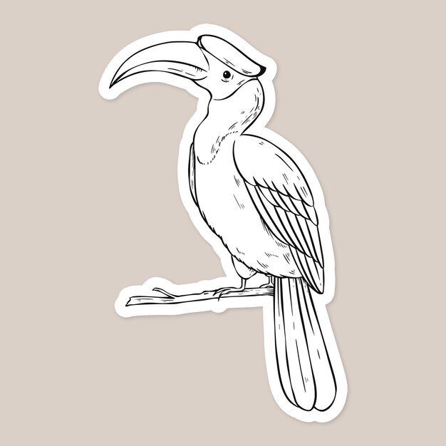Vector cálao vintage blanco y negro clipart