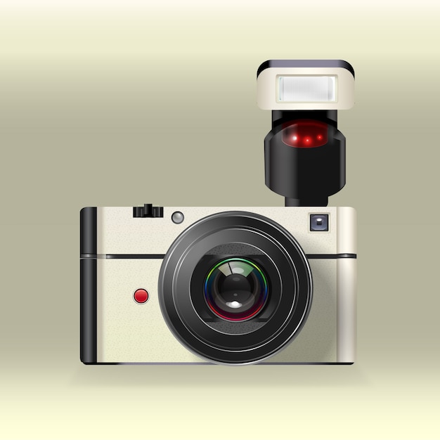 Vector cámara polaroid