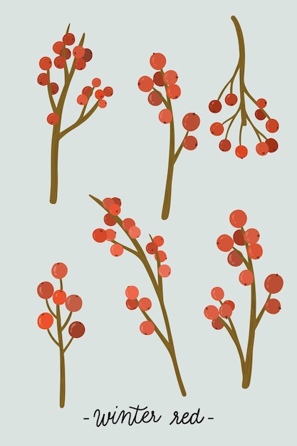 Vector gratuito vector de colección de ornamento rojo winterberry