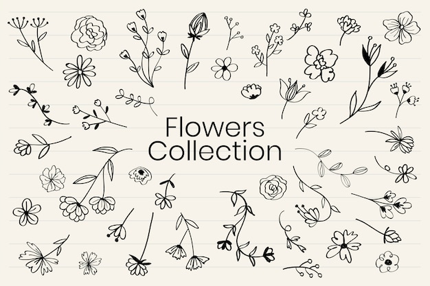 Vector de colección de varias flores doodle