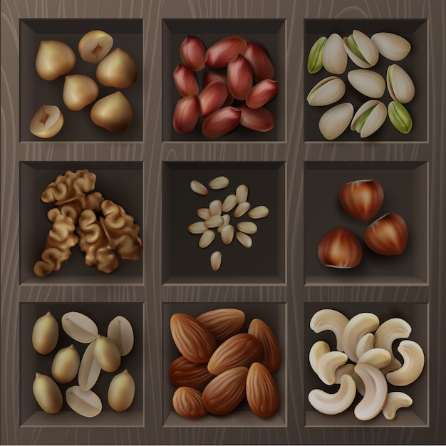 Vector conjunto de diferentes nueces avellanas, pistachos, cacahuetes, anacardos, cedro y nueces vista superior en caja de madera