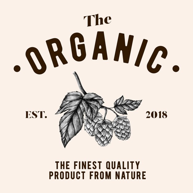 El vector de diseño de logotipo orgánico