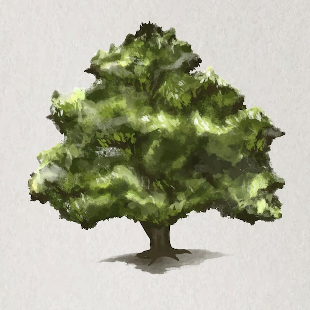 Vector de elemento de árbol Árbol de roble