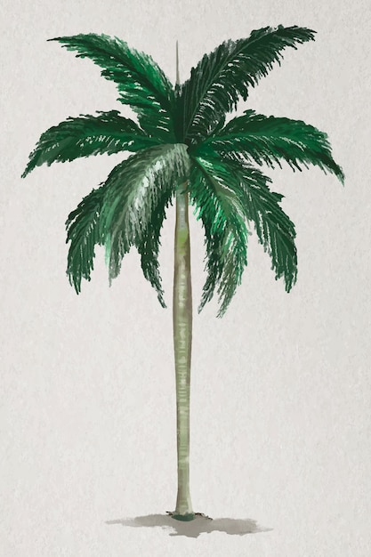 Vector de elemento de árbol palmera