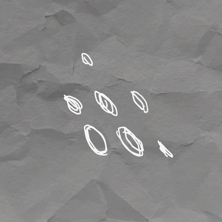 Vector gratuito vector de elemento de diseño de óvalos de garabato dibujado a mano