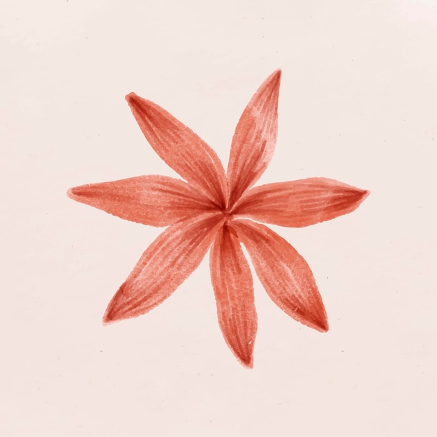 Vector de flor roja dibujada a mano