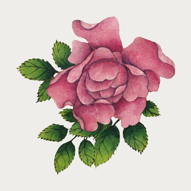 Vector de flor rosa china vintage, remezcla de obras de arte de zhang ruoai