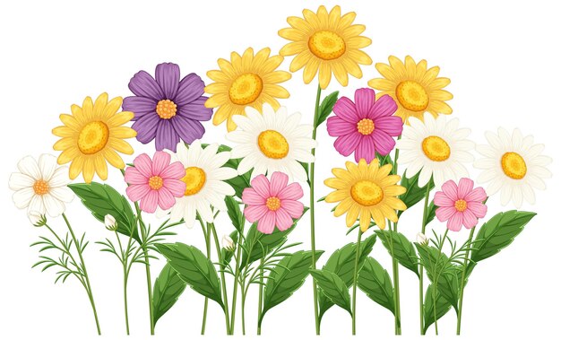 Vector floral vibrante con margaritas y cosmos