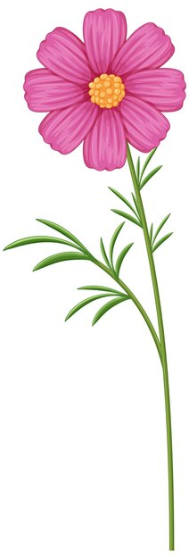 Vector de flores rosadas elegantes con tallo verde