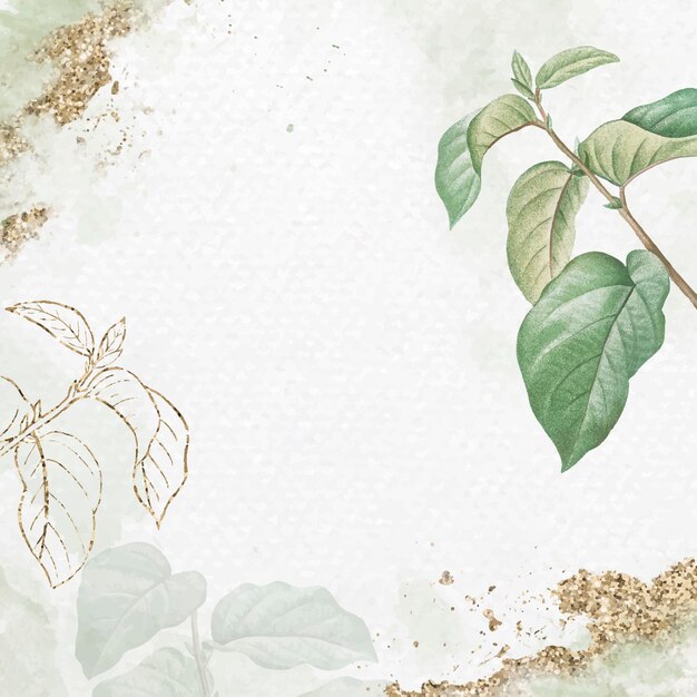 Vector de fondo de patrón de hoja de albaricoque briançon