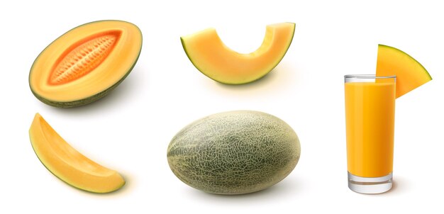 Vector de frutas de melón dulce realista en 3D