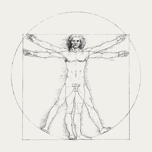 Vector del hombre de Vitruvio, dibujo famoso del cuerpo humano, remezclado de obras de arte de Leonardo da Vinci