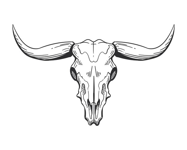 Vector de icono aislado de cabeza de toro