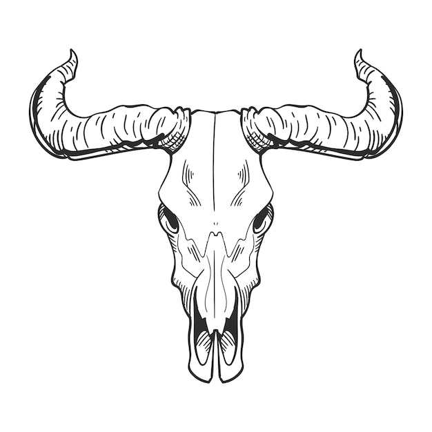 Vector de icono aislado con cuernos de cráneo de toro