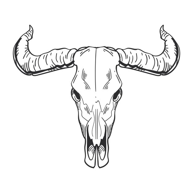 vector de icono aislado de hueso de cráneo de toro