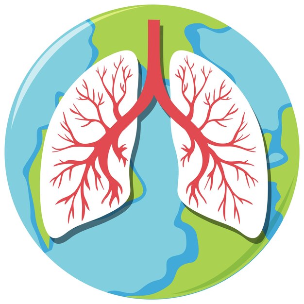 Vector de icono humano de pulmones