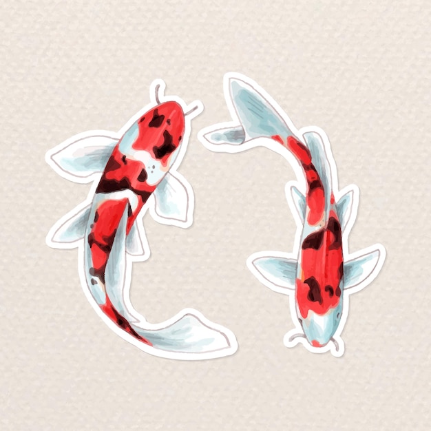 Vector de ilustración de dibujos animados de pegatina de pez koi japonés