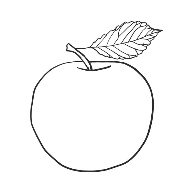 Vector de manzana dibujada a mano