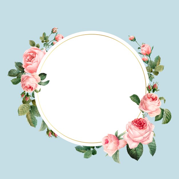 Vector de marco de rosas rosadas redondas en blanco sobre fondo azul