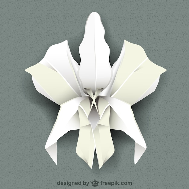 Vector orquídea blanca