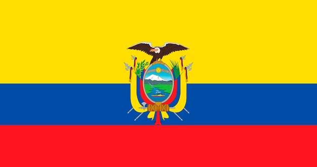 Vector de patrón de bandera ecuatoriana