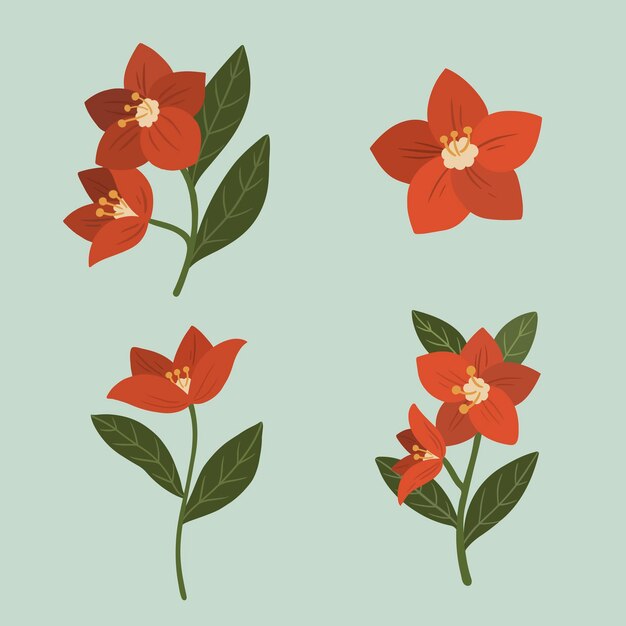 Vector de plantilla de anuncios sociales de flor botánica roja