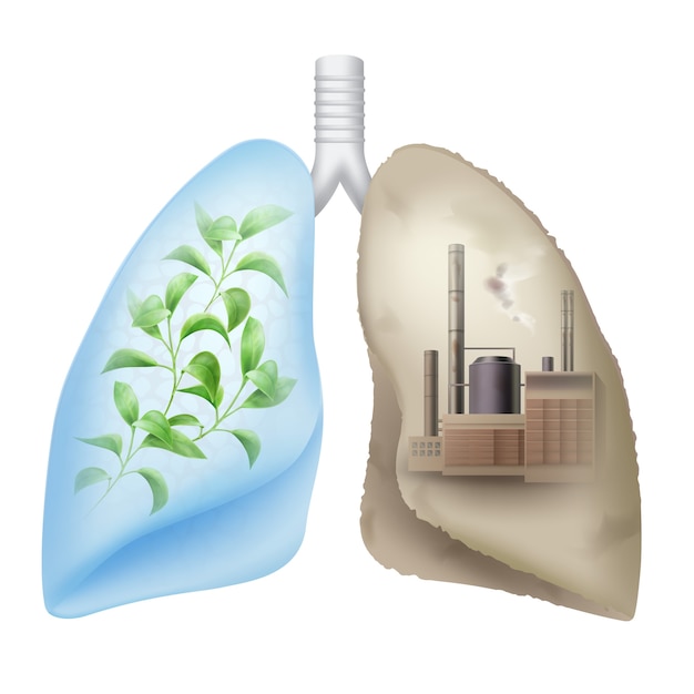 Vector de pulmones humanos con hojas verdes y fábrica de productos químicos